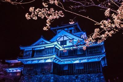 Aloha Inn Aine (Adults Only) Fukuchiyama Exterior photo