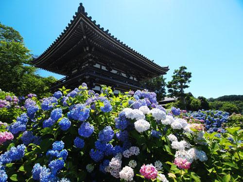 Aloha Inn Aine (Adults Only) Fukuchiyama Exterior photo